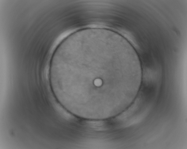 X0000114390856200910161252