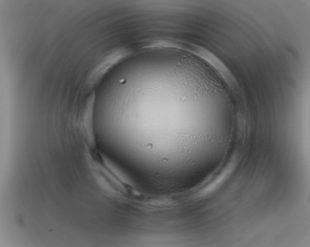 X0000114390857200910161252