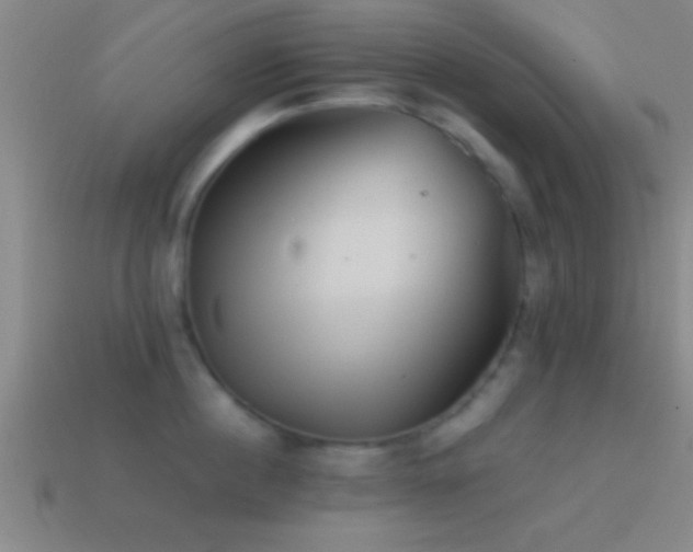 X0000114390860200910161252