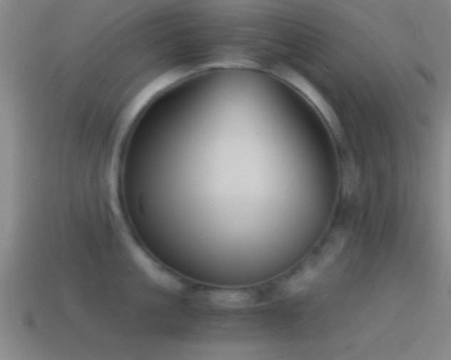X0000114390861200910161252