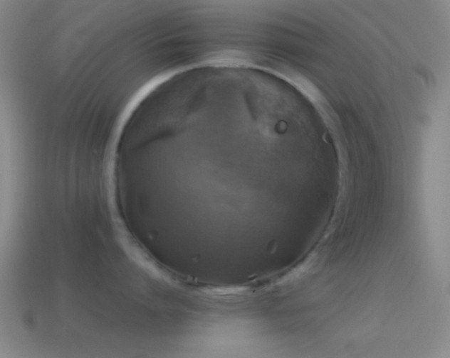 X0000114390864200910161252