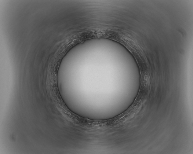X0000114390865200910161251