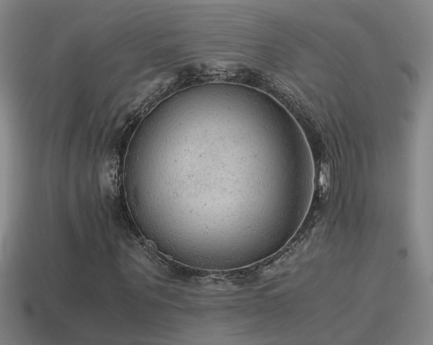 X0000114390867200910161251