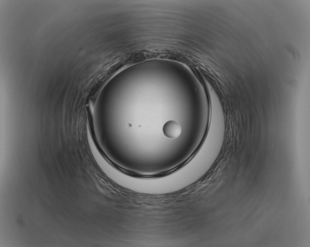 X0000114390868200910161251