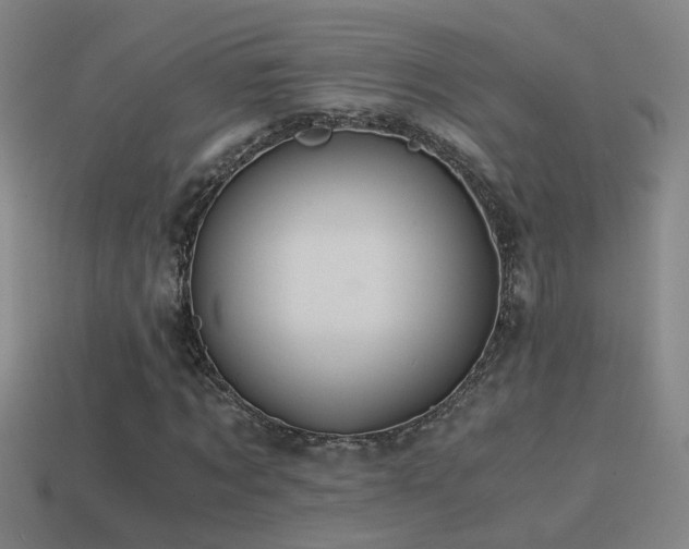 X0000114390869200910161251