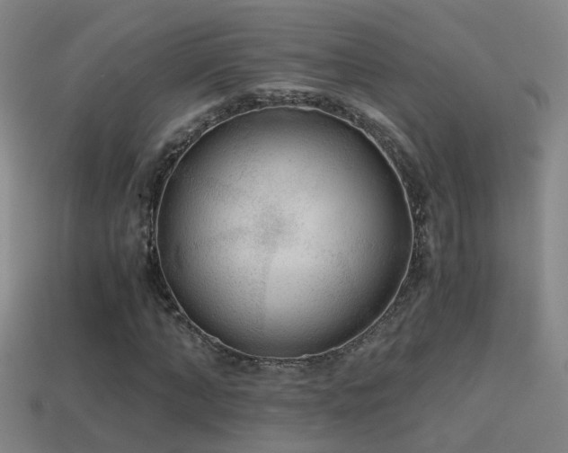 X0000114390870200910161251