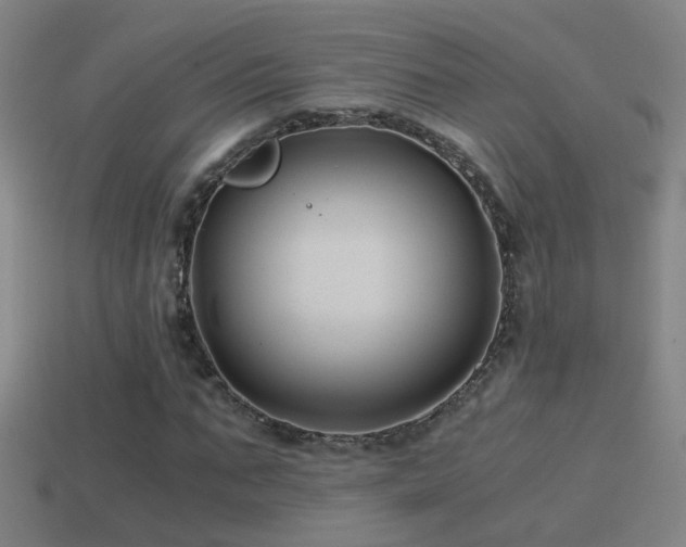 X0000114390871200910161251