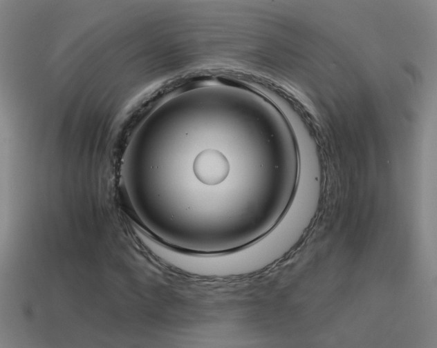 X0000114390872200910161251