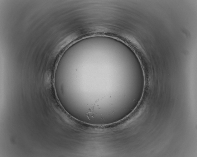 X0000114390873200910161251