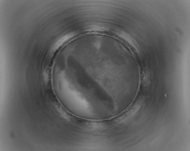 X0000114390874200910161251