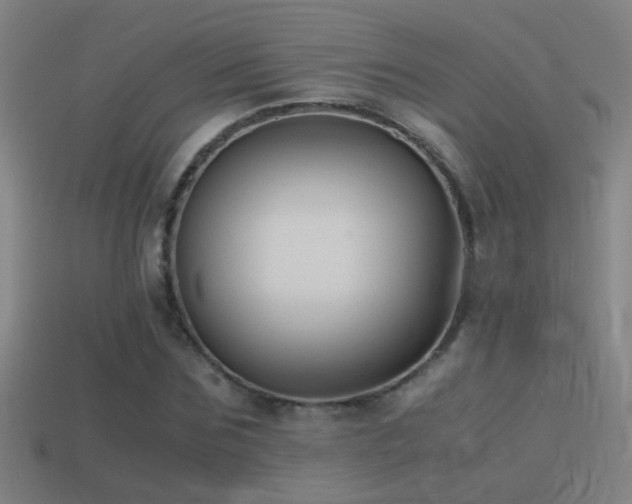 X0000114390875200910161251