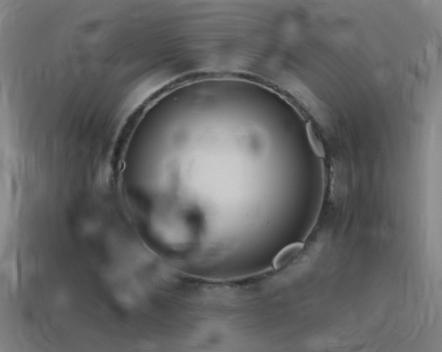 X0000114390876200910161251
