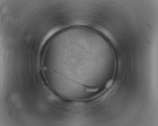 X0000114390878200910161251