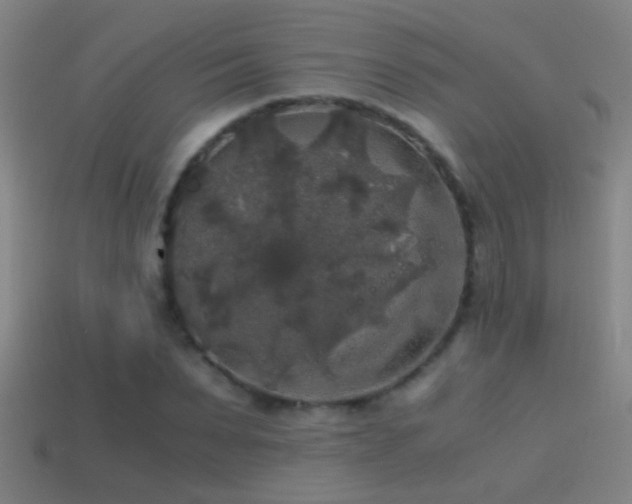 X0000114390879200910161251