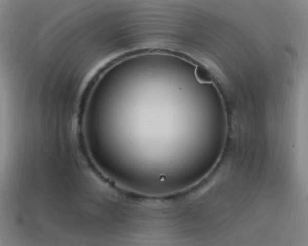 X0000114390880200910161251