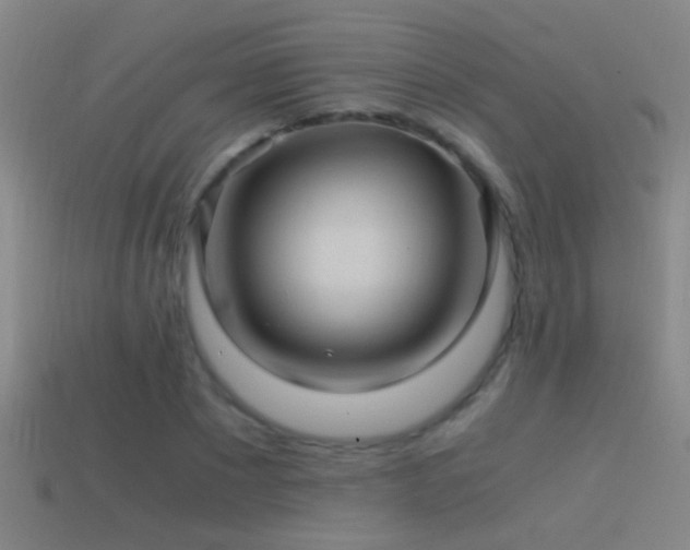 X0000114390881200910161251