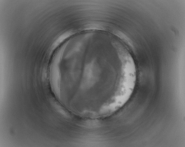 X0000114390882200910161251