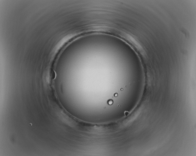 X0000114390883200910161251