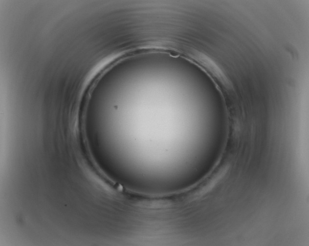 X0000114390884200910161251