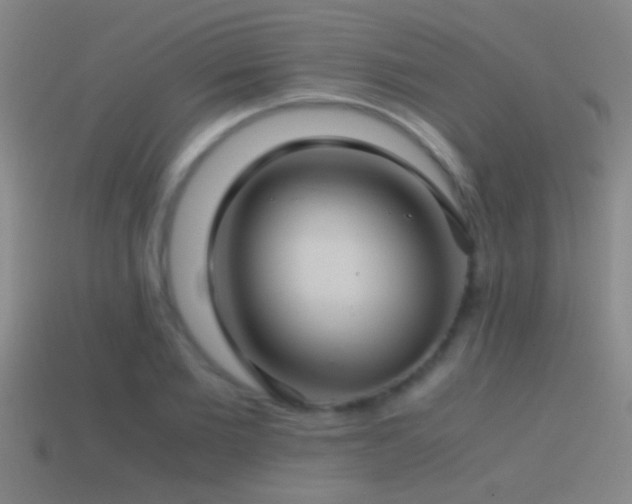 X0000114390885200910161251