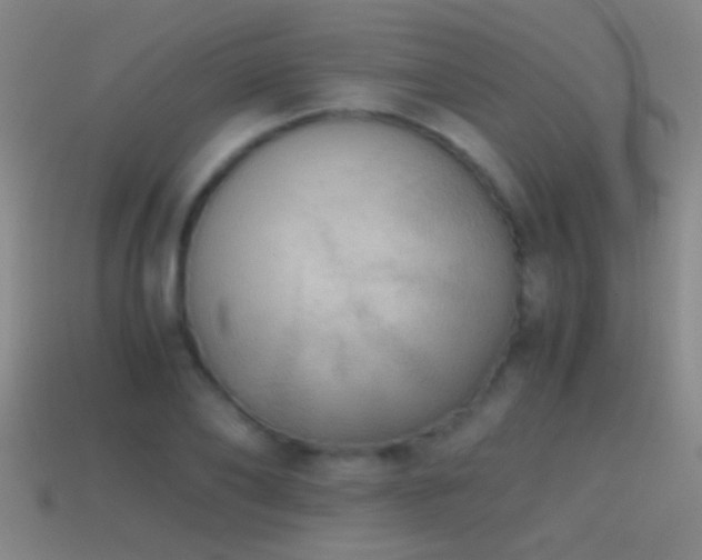 X0000114390886200910161251