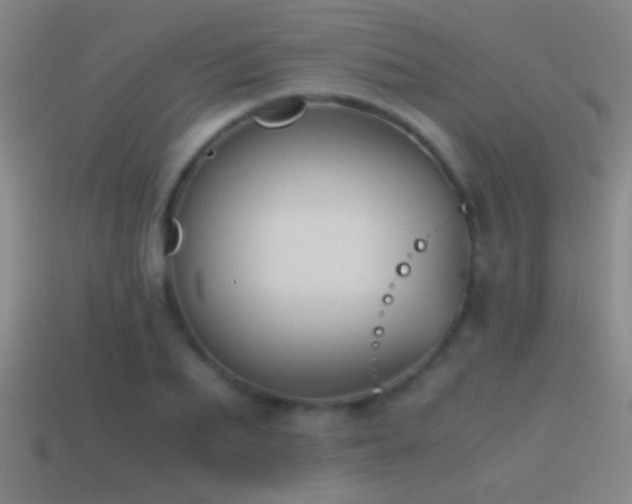X0000114390887200910161251
