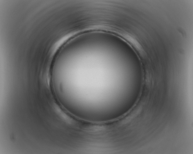 X0000114390888200910161251