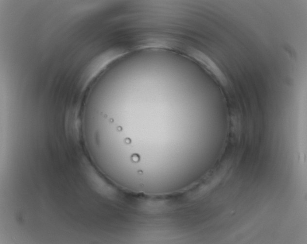 X0000114390890200910161251