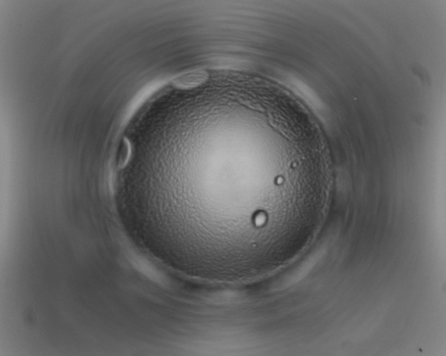 X0000114390891200910161251