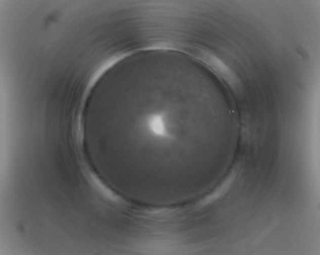 X0000114390892200910161251