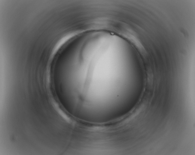 X0000114390894200910161251
