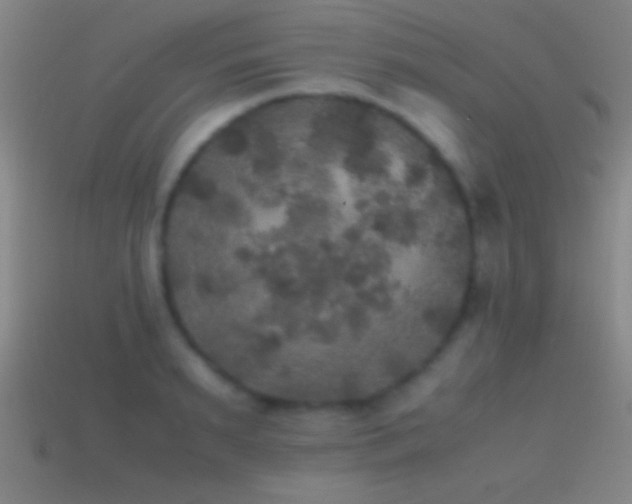 X0000114390895200910161251