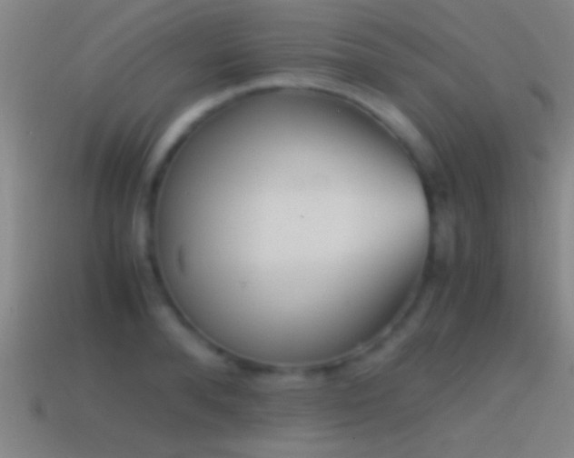 X0000114390896200910161251