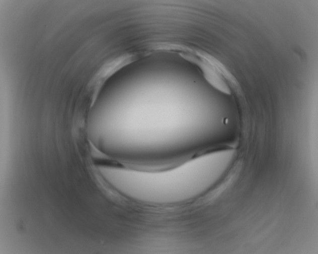X0000114390897200910161251