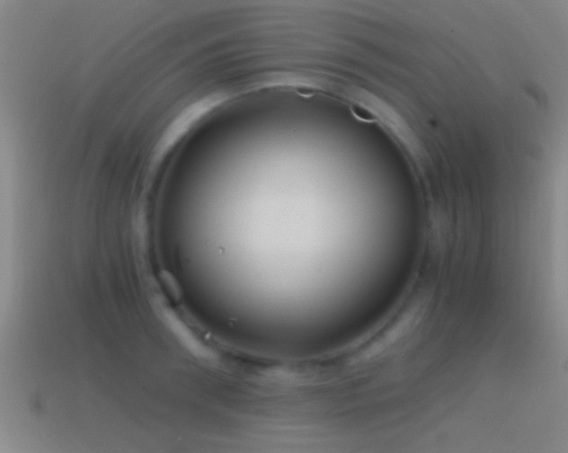 X0000114390898200910161251