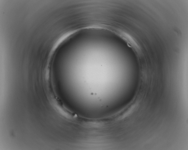 X0000114390900200910161251