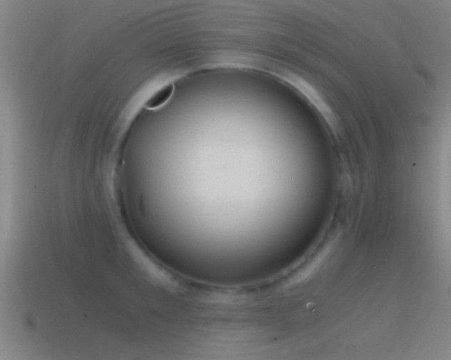 X0000114390901200910161251