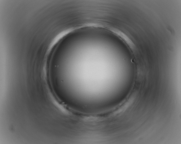 X0000114390902200910161251