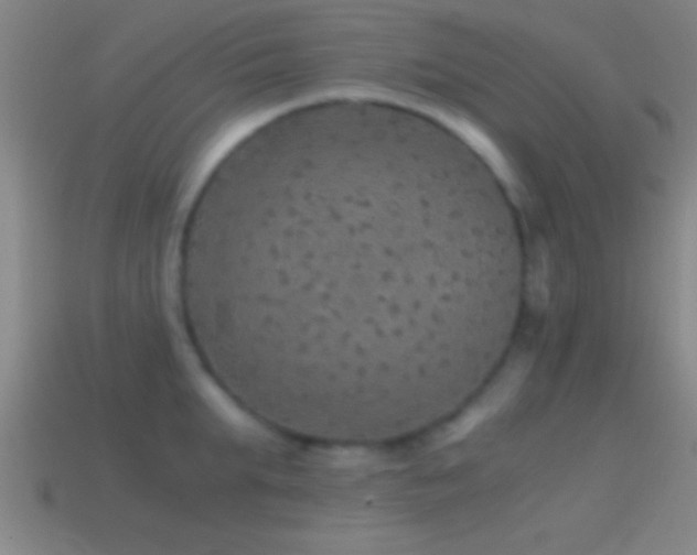 X0000114390903200910161251