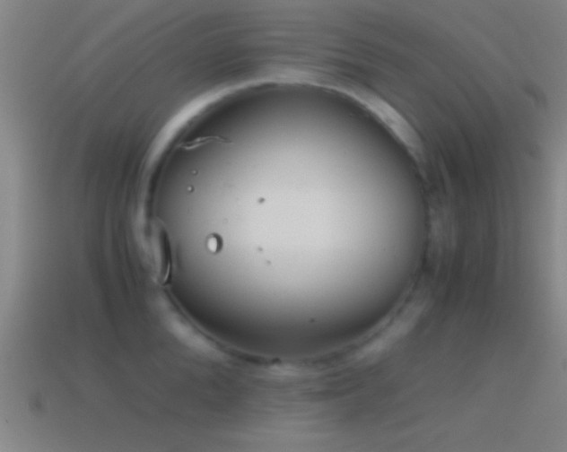 X0000114390904200910161251