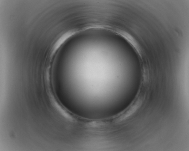 X0000114390906200910161251