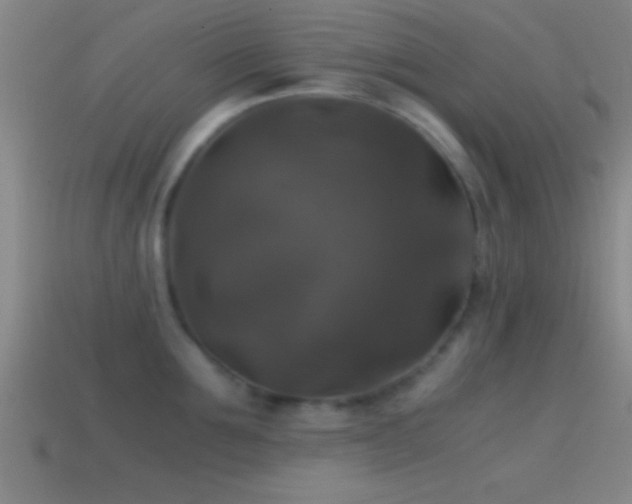 X0000114390907200910161251