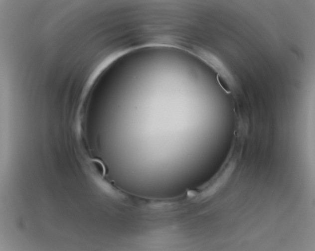 X0000114390908200910161251