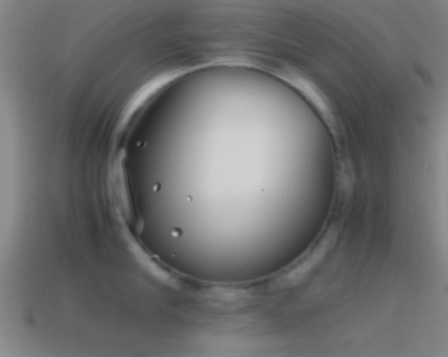 X0000114390910200910161251