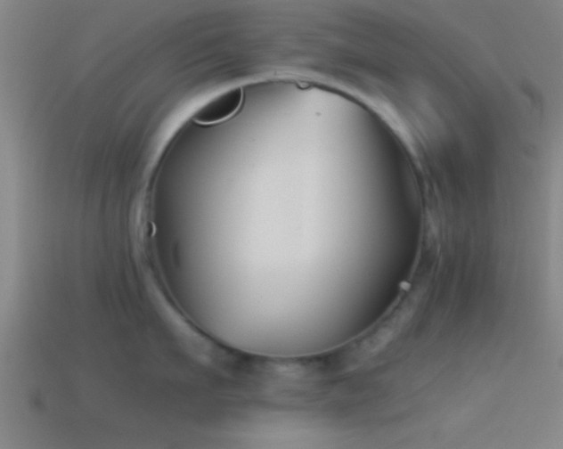 X0000114390911200910161251