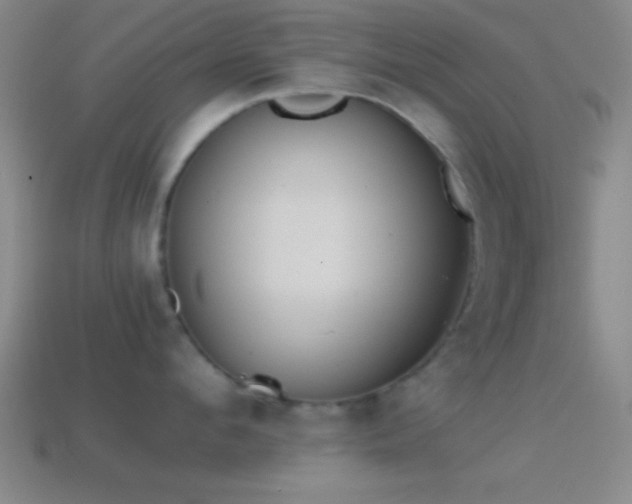X0000114390912200910161251