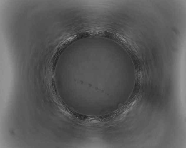 X0000114390913200910161250