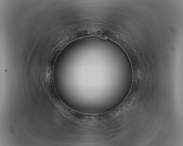 X0000114390914200910161250