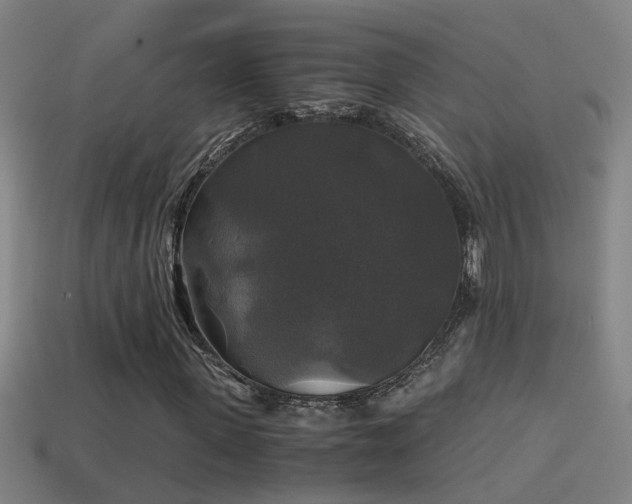 X0000114390915200910161250