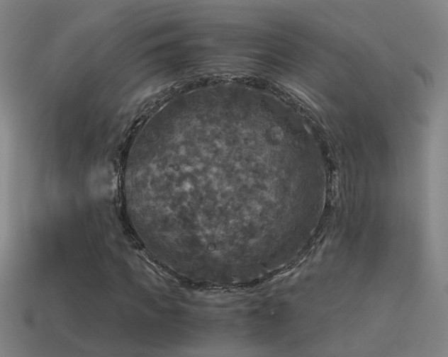 X0000114390917200910161250